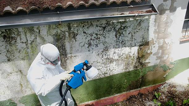 Top rated local Attic Mold Removal specialists in Salem, OR